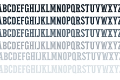 Pettichap Trim Font Duo Product Image 5