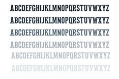 Pettichap Trim Font Duo Product Image 8