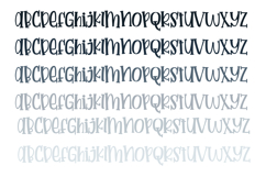 Pocketbook Font Family Product Image 6