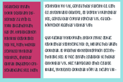 Pocketbook Font Family Product Image 2