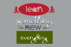 Poinsettia Kiss Font Trio Product Image 6