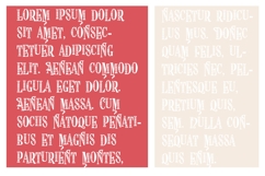 ZP Politely Passionate Font Family Product Image 5