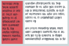 ZP Politely Passionate Font Family Product Image 2