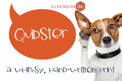 ZP Quidster Product Image 1