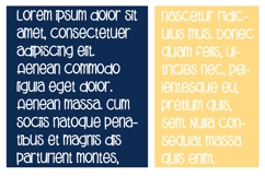 Raisin Cookie Font Family Product Image 3