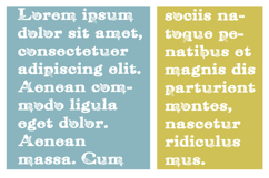 Red Roses Font Family Product Image 6