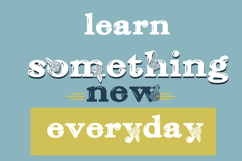 Red Roses Font Family Product Image 2