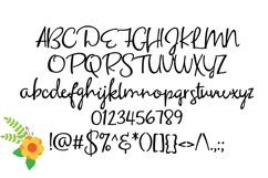 Rejuvenation Font Family Product Image 3