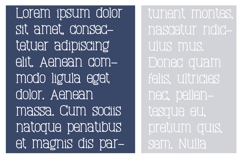 Roxifer Font Family Product Image 3