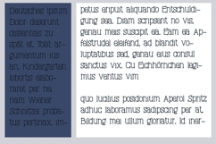 Roxifer Font Family Product Image 6
