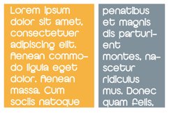 ZP Roxy Ruler Product Image 6