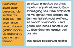 ZP Roxy Ruler Product Image 3