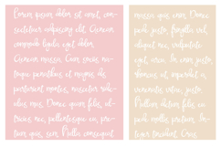 Said No One Font Family Product Image 4