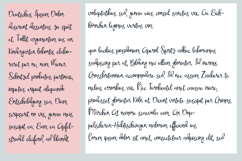 Said No One Font Family Product Image 7