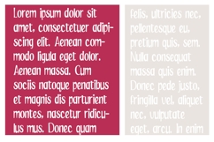 ZP Saint Valentines Font Family Product Image 3