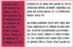 ZP Saint Valentines Font Family Product Image 6