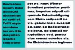 Sand Dump Font Family Product Image 8