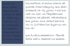 Say Why Product Image 6