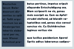 Scopophiliac Font Family Product Image 7