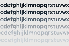 Scopophiliac Font Family Product Image 10