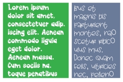 Shoe Shine and Roommate Font Duo Product Image 3