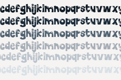 Shoe Shine and Roommate Font Duo Product Image 4