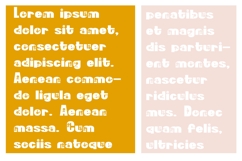 Simpletoon Blossom Font Family Product Image 6