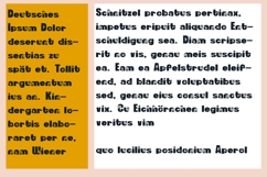 Simpletoon Blossom Font Family Product Image 3