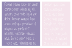 Skylight Font Family Product Image 6