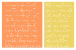 Smoked Salmon Font Family Product Image 4