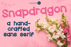 Snapdragon Font Family Product Image 1