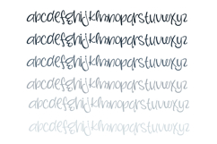 Snarky Font Family Product Image 4