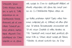 Snarky Font Family Product Image 6