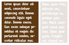 Snickerdoodle Sugar Product Image 3