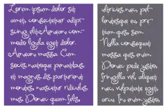 Southern Spook | Witchy Halloween Script Font Product Image 3