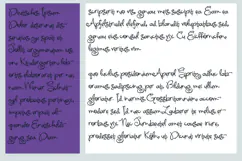 Southern Spook | Witchy Halloween Script Font Product Image 6