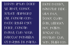 Spiegel Font Family Product Image 3