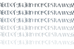 Spiegel Font Family Product Image 4