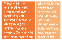 Squeaky Cheese Product Image 4