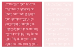 PN Valerian Valentine Font Family Product Image 10