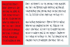 Strawberry Blossom Vine Font Family Product Image 6