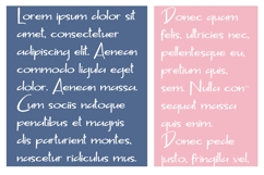 Sugar Crunch Product Image 5