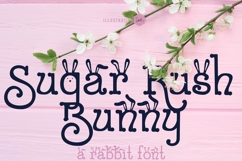 Bunny Bonanza Font Bundle Product Image 19