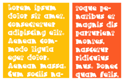 Super Bloomers Font Family Product Image 3