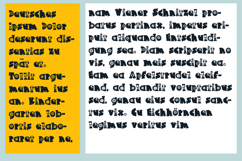 Super Bloomers Font Family Product Image 6