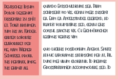 ZP Sweet Heart Font Family Product Image 2