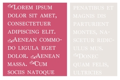 ZP Swooping Love Font Family Product Image 4