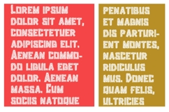 The Tiki Font Family Product Image 2
