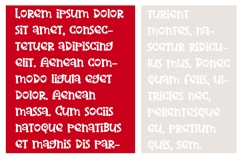 ZP Three Hearts Font Family Product Image 5