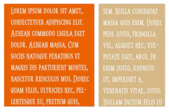 Thursday | Serious Serif Halloween Font Product Image 3